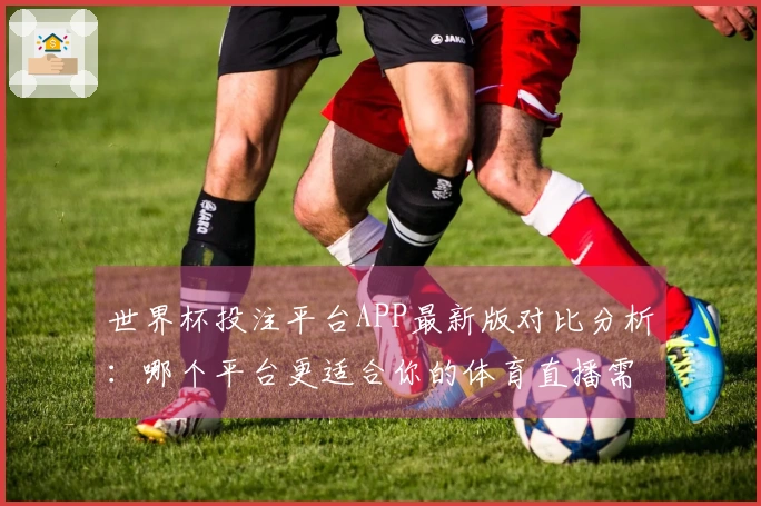世界杯投注平台APP最新版对比分析：哪个平台更适合你的体育直播需求？
