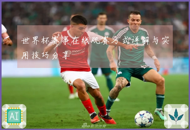 世界杯赛事在线观赛方式详解与实用技巧分享