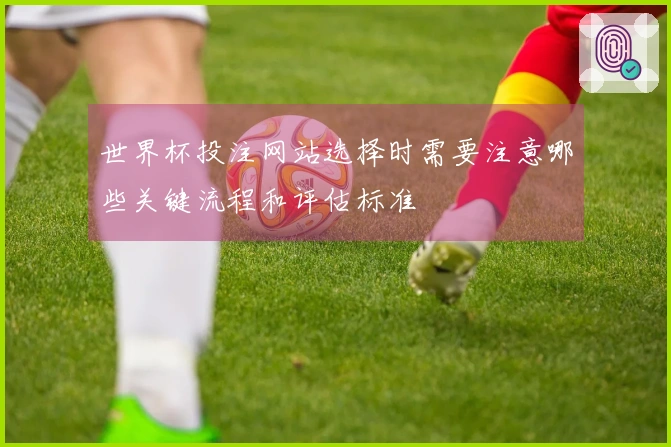 世界杯投注网站选择时需要注意哪些关键流程和评估标准