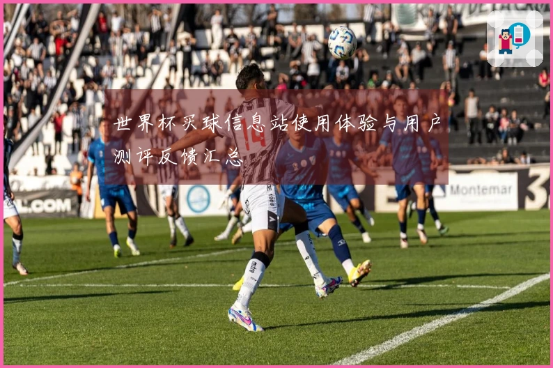 世界杯买球信息站使用体验与用户测评反馈汇总