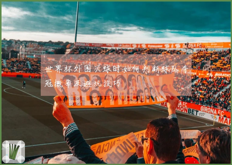 世界杯外围买球时如何判断球队夺冠概率及避坑技巧