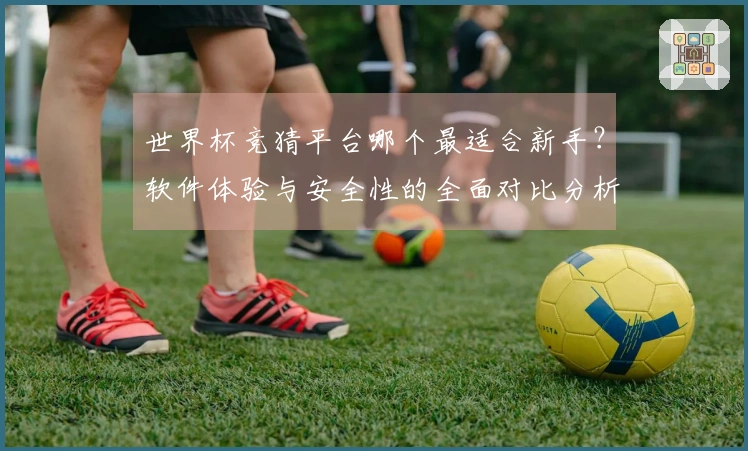 世界杯竞猜平台哪个最适合新手？软件体验与安全性的全面对比分析