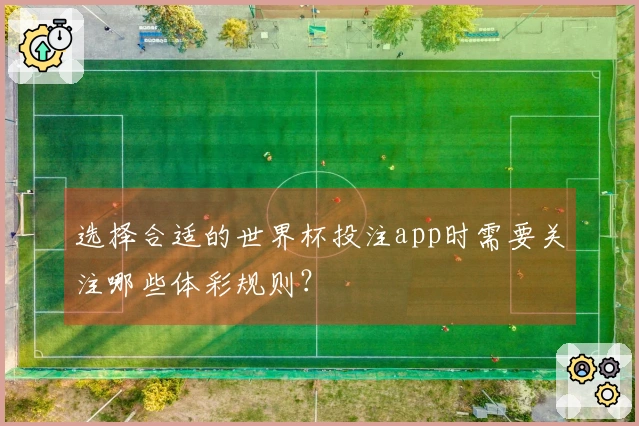 选择合适的世界杯投注app时需要关注哪些体彩规则？