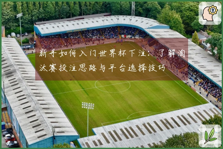 新手如何入门世界杯下注：了解淘汰赛投注思路与平台选择技巧