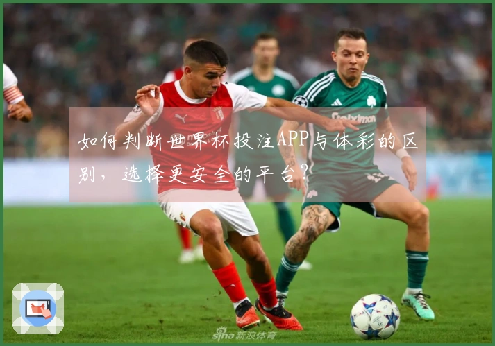 如何判断世界杯投注APP与体彩的区别，选择更安全的平台？