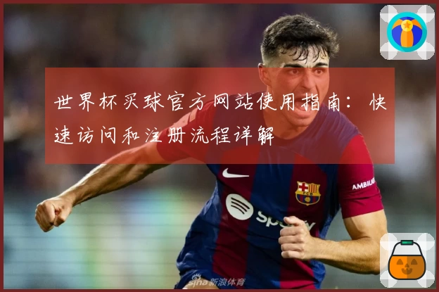 世界杯买球官方网站使用指南：快速访问和注册流程详解