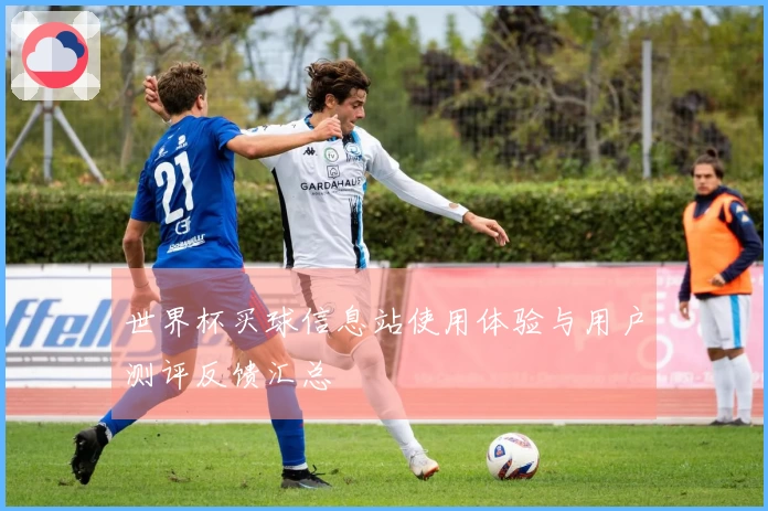 世界杯买球信息站使用体验与用户测评反馈汇总