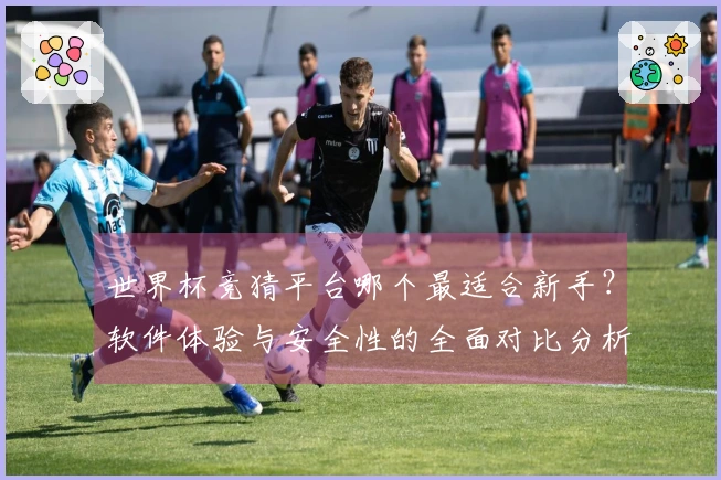 世界杯竞猜平台哪个最适合新手？软件体验与安全性的全面对比分析