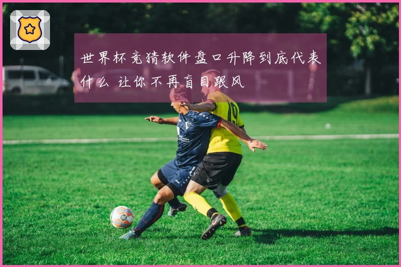世界杯竞猜软件盘口升降到底代表什么 让你不再盲目跟风