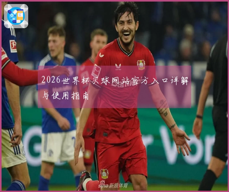 2026世界杯买球网站官方入口详解与使用指南