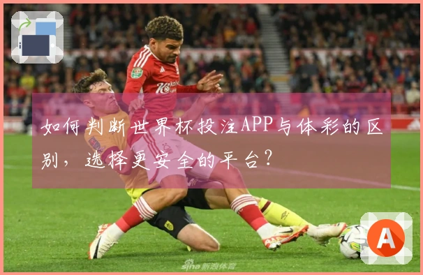 如何判断世界杯投注APP与体彩的区别，选择更安全的平台？
