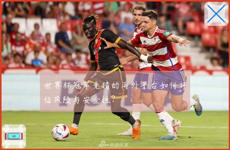 世界杯冠军竞猜的海外平台如何评估风险与安全性？