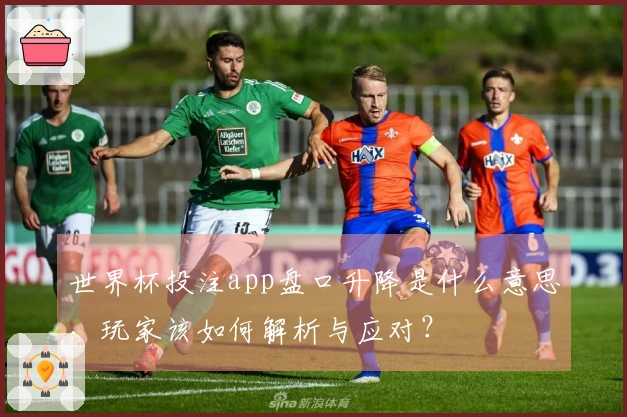 世界杯投注app盘口升降是什么意思，玩家该如何解析与应对？