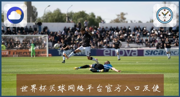 世界杯买球网络平台官方入口及使用指南
