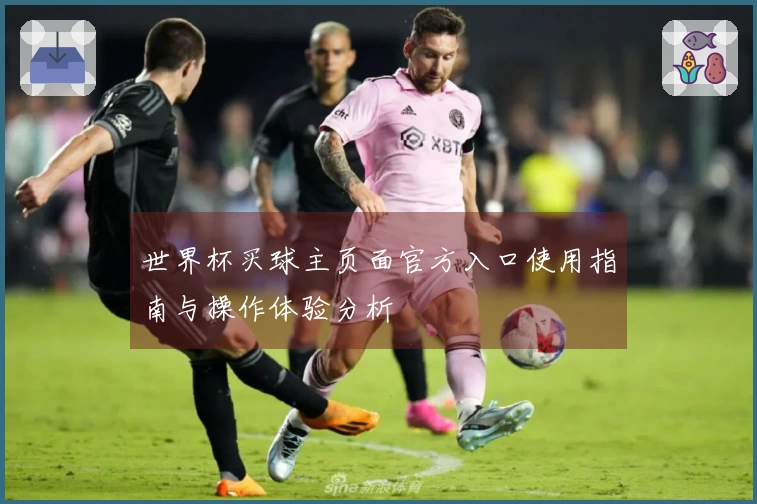 世界杯买球主页面官方入口使用指南与操作体验分析