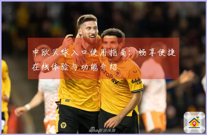 中欧买球入口使用指南：畅享便捷在线体验与功能介绍