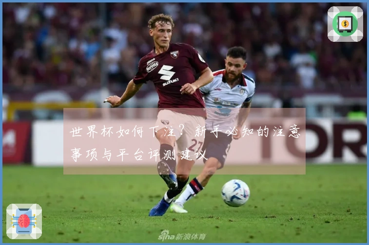 世界杯如何下注？新手必知的注意事项与平台评测建议