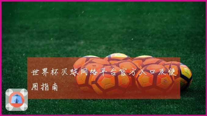 世界杯买球网络平台官方入口及使用指南