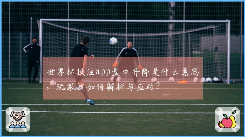 世界杯投注app盘口升降是什么意思，玩家该如何解析与应对？