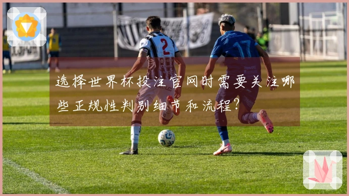 选择世界杯投注官网时需要关注哪些正规性判别细节和流程？