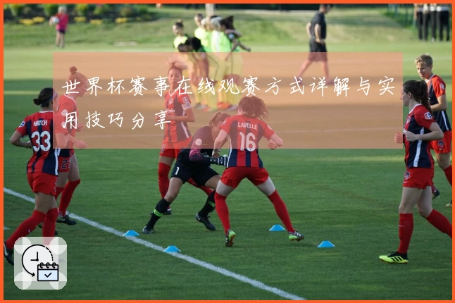 世界杯赛事在线观赛方式详解与实用技巧分享