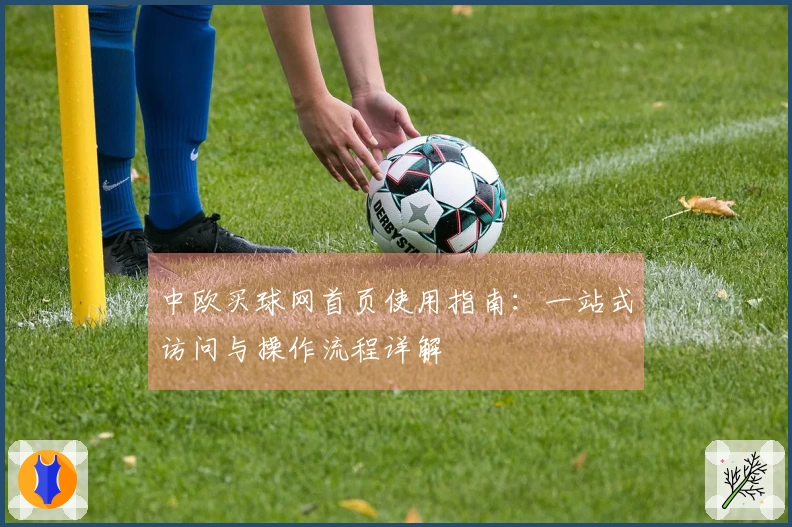 中欧买球网首页使用指南：一站式访问与操作流程详解