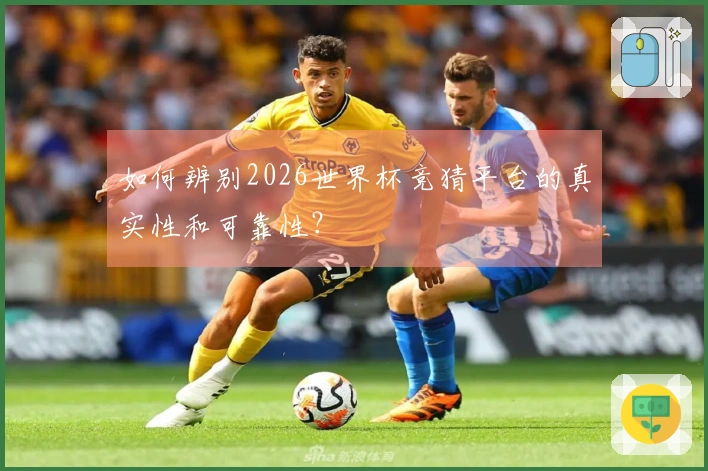 如何辨别2026世界杯竞猜平台的真实性和可靠性？