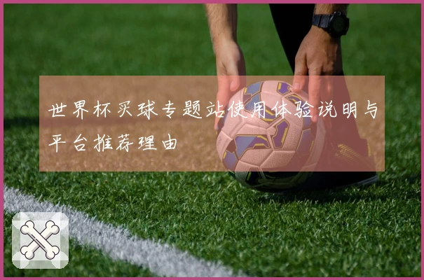 世界杯买球专题站使用体验说明与平台推荐理由