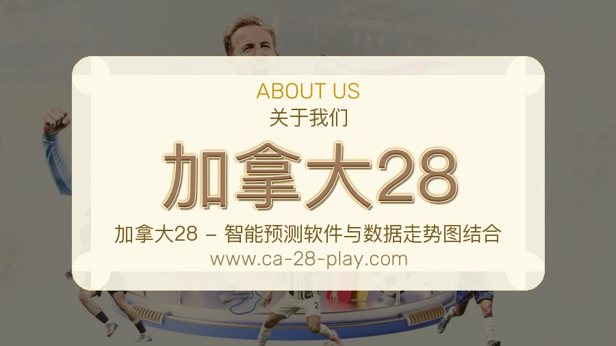 平台展示图